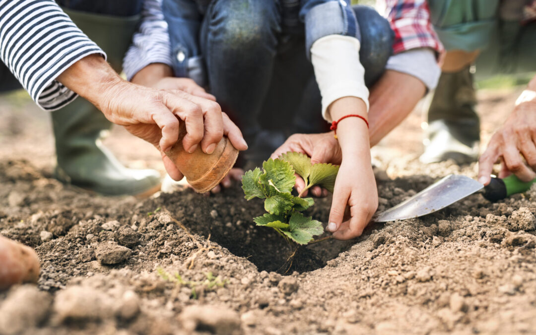 5 ways to avoid hand and wrist pain while gardening